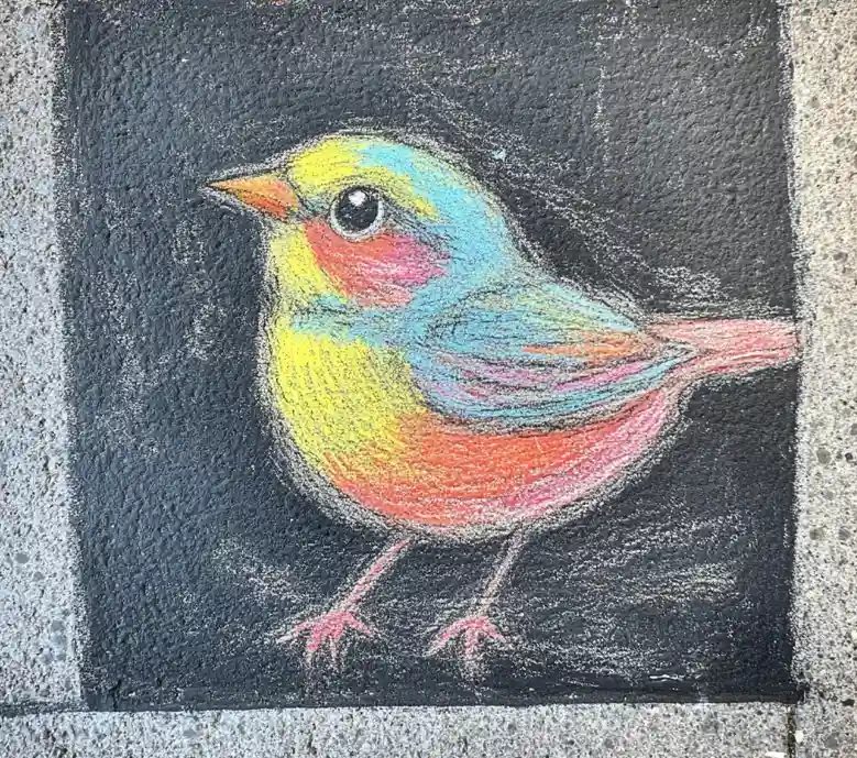Sidewalk chalk drawing of a colorful bird