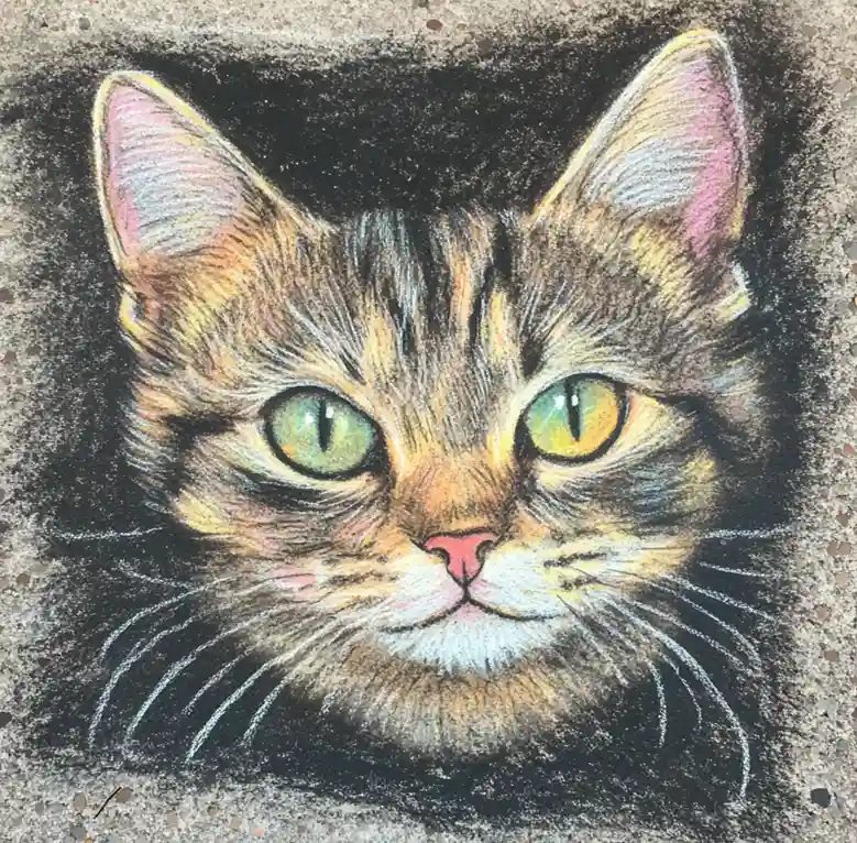 Realistic chalk art of a tan cat with green eyes