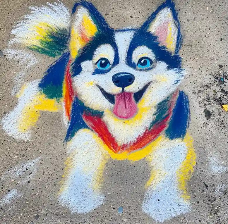 Chalk drawing of a blue and white husky puppy